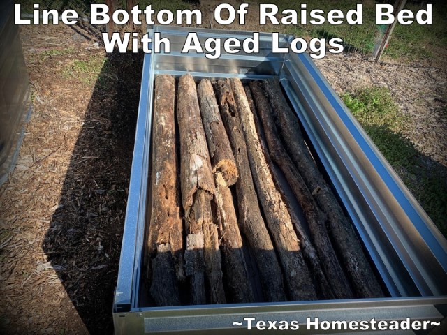 Hopkins Hidden Homestead raised bed filled sheet mulch and hugelkultur style. #TexasHomesteader