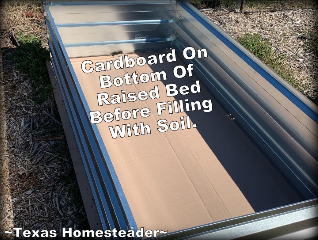 Hopkins Homestead raised bed with cardboard shipping box on the bottom for hugelkultur sheet composting garden #TexasHomesteader