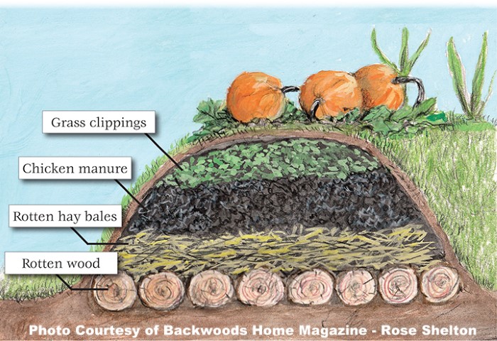 Hugelkultur gardening graphic - logs, sticks, raised bed by By Rose Shelton and Backwoods Home #TexasHomesteader