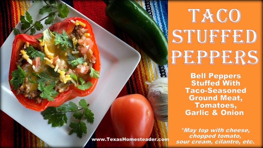 Taco stuffed bell peppers in white square plate, Mexican blanket, tomato, jalalpeno, garlic #TexasHomesteader