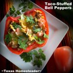 Taco stuffed red bell peppers on white plate with cilantro garnish, tomato, jalapeño #TexasHomesteader