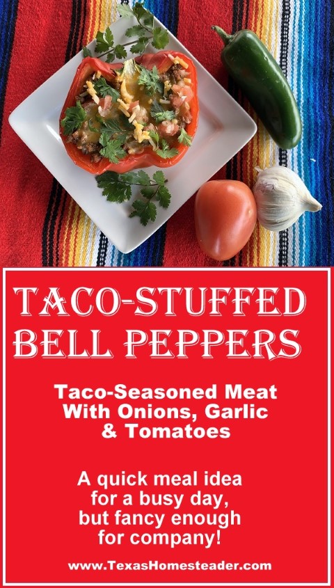 Taco stuffed red bell peppers on white square plate, cilantro garnish, garlic, jalapeno and tomato. #TexasHomesteader