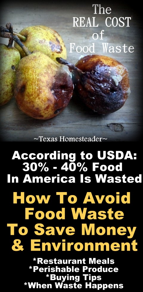 The real cost of food waste - rotting pears #TexasHomesteader