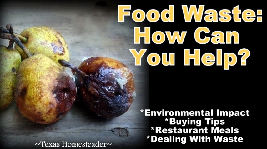 The real cost of food waste - wasted food and money, rotting pears #TexasHomesteader