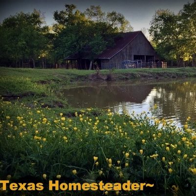 Beautiful 1880's barn in NE Texas. #TexasHomesteader