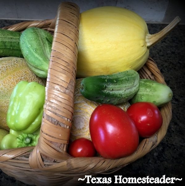 Easiest self-sufficiency steps to take now. #TexasHomesteader