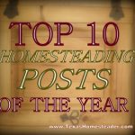 Top 10 self sufficiency, homesteading, gardening, beekeeping posts. #TexasHomesteader