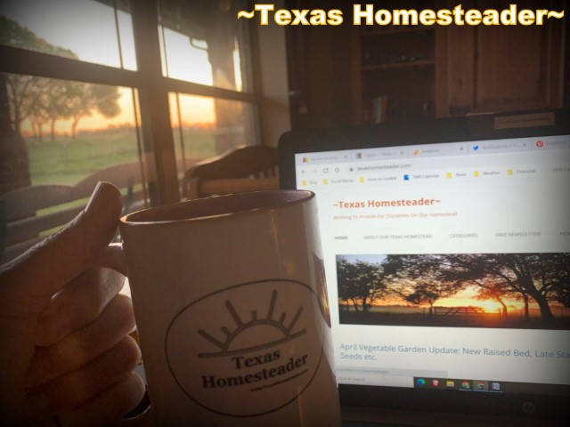 Self employed workload means there's ALWAYS more work to do! Sunrise morning coffee computer website #TexasHomesteader