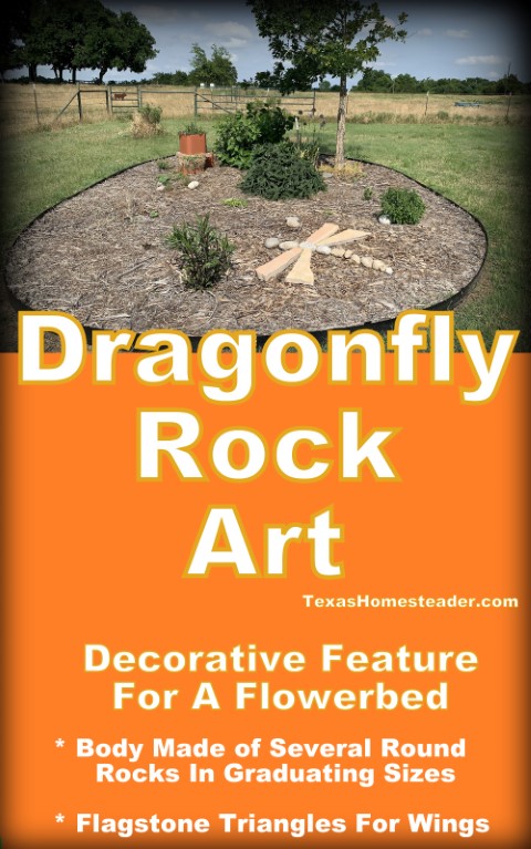 Dragonfly rock art decor landscape pollinator flowerbed #TexasHomesteader
