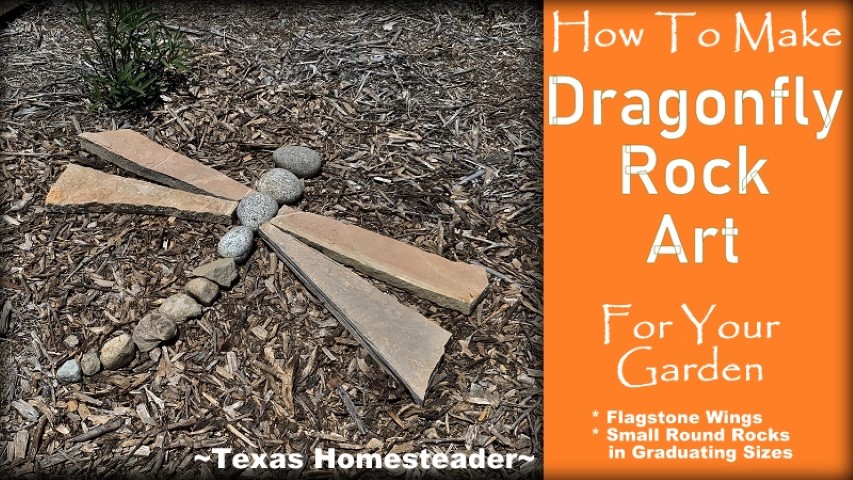 Dragonfly rock art made of round and flagstone rocks Master Naturalist logo. #TexasHomesteader