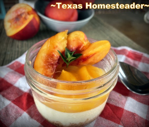 Mason jar canning jar wide mouth Instant Pot cheesecake recipe with peaches and pie filling. #TexasHomesteader