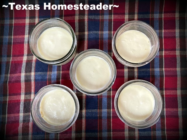Mason jar wide mouth canning jar Instant Pot single-serve cheesecake. #TexasHomesteader
