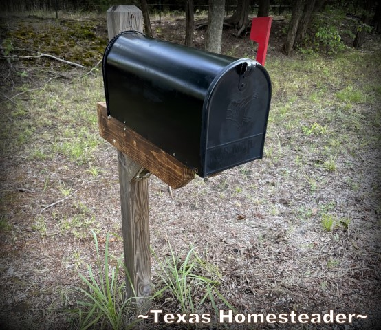 Rural mailbox with the red flag up for USPS to pick up and deliver mail. #TexasHomesteader