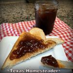 Homemade Concord Grape Jelly toast on white plate with napkin. #TexasHomesteader