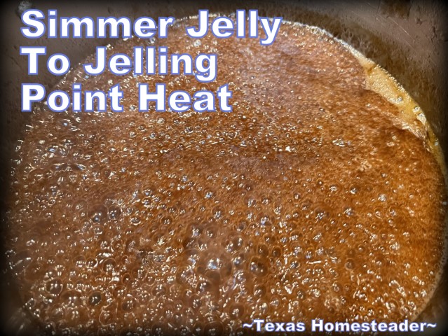 Simmer homemade grape jelly to jelling point heat, stirring constantly. #TexasHomesteader