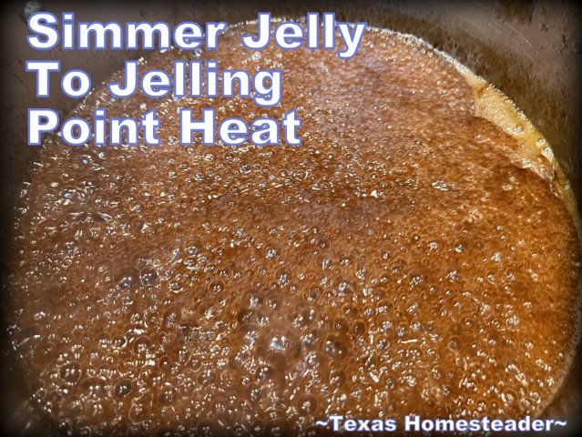 How to Make Homemade Grape Jelly and Jam, Seasonal Food and Country Style  Recipes