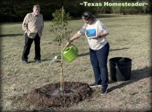 Mourner watering memorial tree while reciting poem after planting remembrance tree. #TexasHomesteader