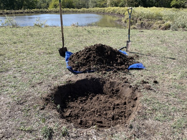 Memorial tree planting - Proper hole depth and width to plant a new tree. #TexasHomesteader