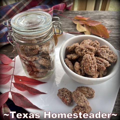 Candied pecans cinnamon sugared pecans sweet ,salty and crunchy #TexasHomesteader