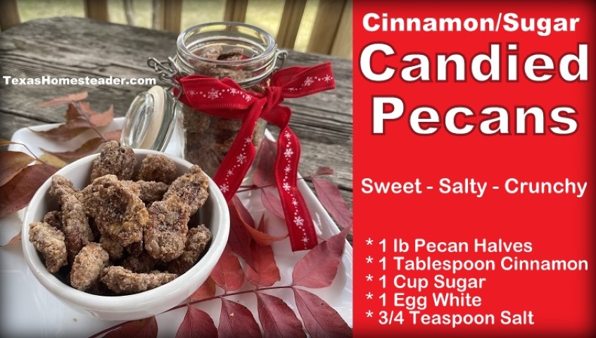 Candied pecans cinnamon sugared pecans sweet, salty & crunchy #TexasHomesteader