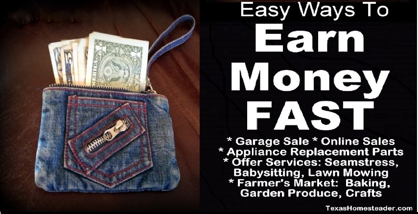 Easy ways to earn money fast - Denim pocket purse with dollar dollars cash #TexasHomesteader