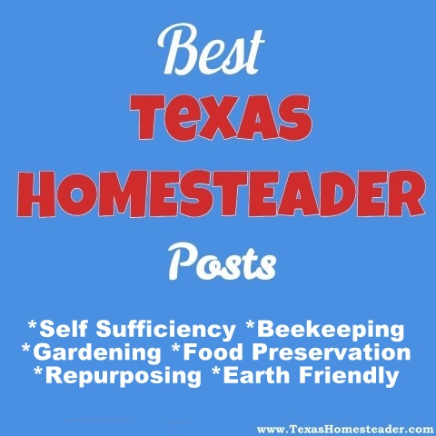 Top 10 Best Homesteading Posts - Self sufficiency, preparedness, gardening, beekeeping, preservation #TexasHomesteader