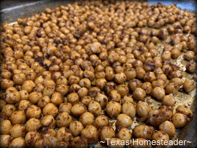 chickpeas garbanzo beans can be roasted in an oven on a large baking tray #TexasHomesteader