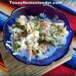 Creamy coleslaw with cabbage, carrots and creamy dressing mayonnaise, vinegar, celery seed #TexasHomesteader