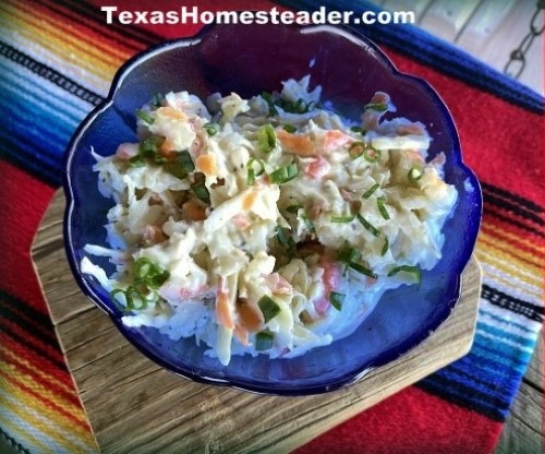 Creamy coleslaw with cabbage, carrots and creamy dressing mayonnaise, vinegar, celery seed #TexasHomesteader