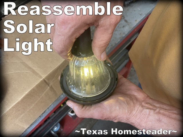 Repairing solar lights - Reassemble solar photocell and solar light globe. #TexasHomesteader