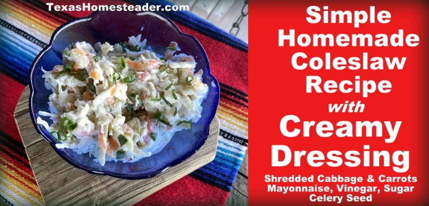 coleslaw made with cabbage, carrots and creamy dressing mayonnaise, vinegar, celery seed #TexasHomesteader