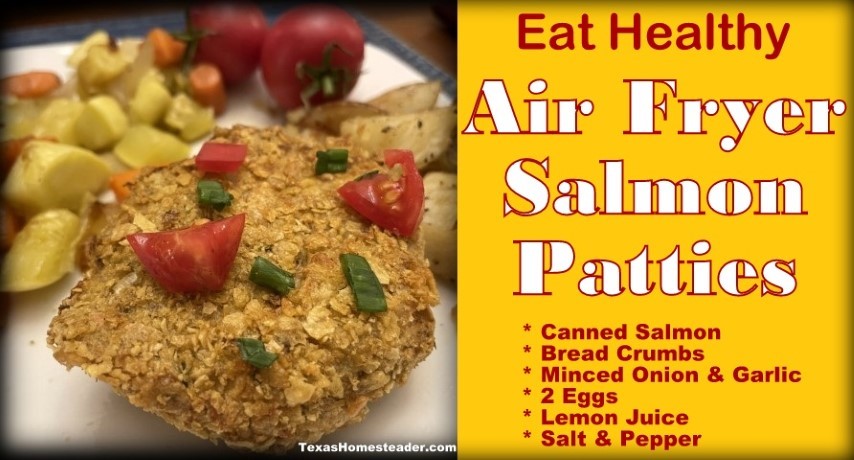 Salmon patties air clearance fryer