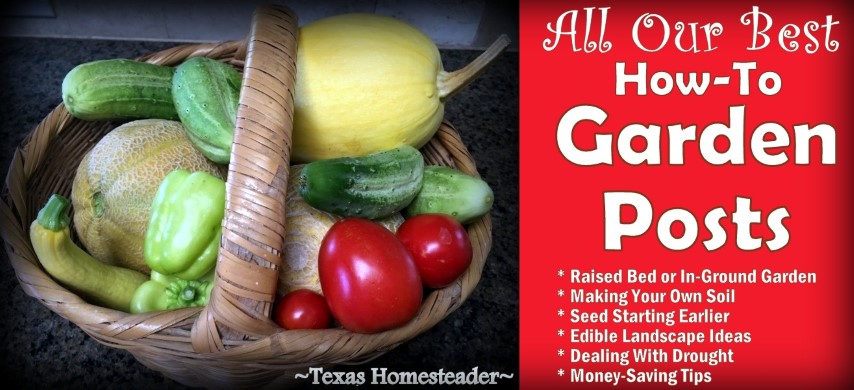 Best Gardening Tips and tricks to make gardening easier - Garden basket Produce fresh vegetables Harvest #TexasHomesteader
