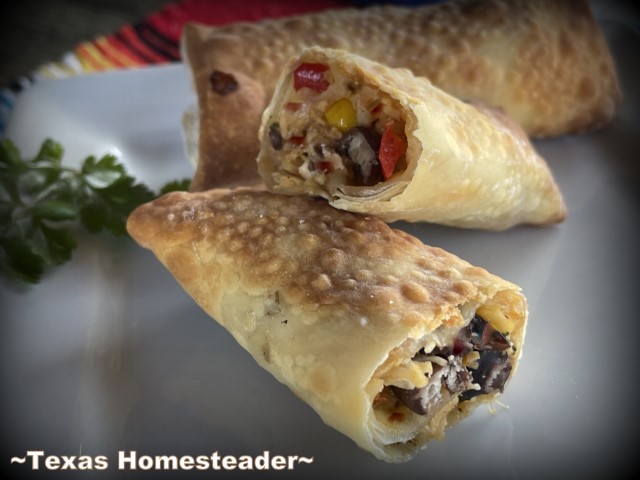 https://texashomesteader.com/wp-content/uploads/2023/03/Southwest-Egg-Rolls-chicken-corn-black-beans-cheddar-cheese-red-bell-pepper.-TexasHomesteader.jpg