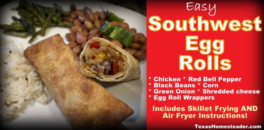Southwest Egg Rolls - chicken, corn, black beans, onion, bell pepper with beans and cilantro corn. #TexasHomesteader