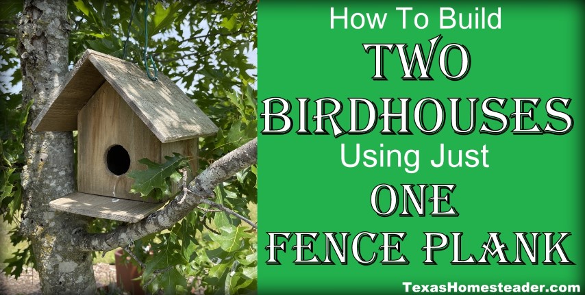 Build TWO Birdhouses Using Just One Cedar Fence Plank. #TexasHomesteader