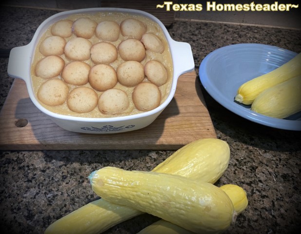 Banana pudding made with yellow summer squash puree in a CorningWare serving dish. #TexasHomesteader