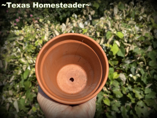 Clay terracotta pot with a small hole drilled for garden watering. #TexasHomesteader