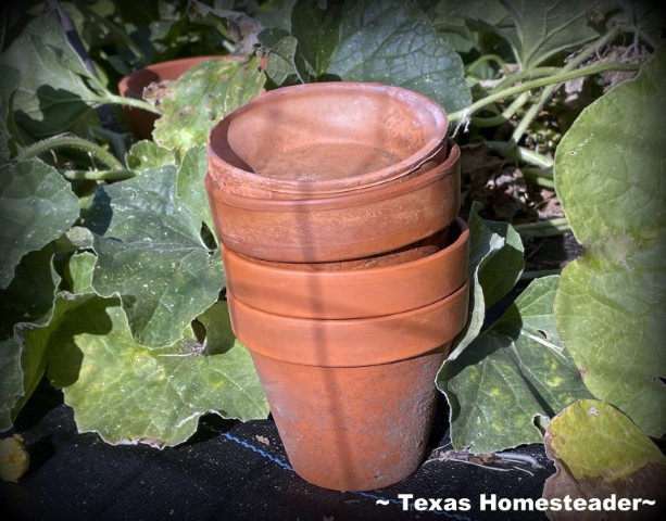 Clay terracotta pots stack neatly for compact storage. #TexasHomesteader