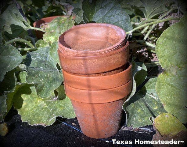 Article: Ollas - Clay Pot Irrigation Systems Plus DIY Homemade Ollas