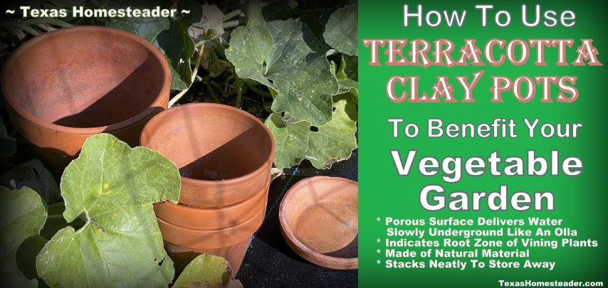 Clay terracotta pots are made from natural materials, stack compactly and help me conserve water in my vegetable garden. #TexasHomesteader