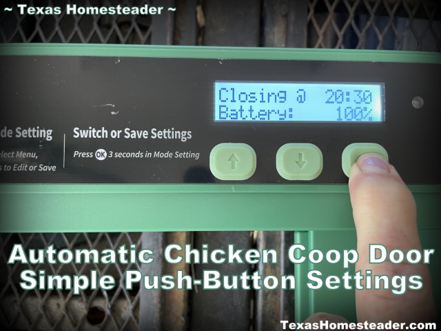 Chickcozy automatic chicken coop door - easy push button programming. #TexasHomesteader