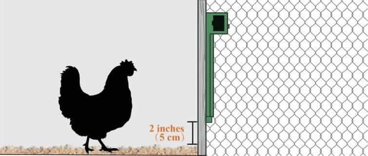 Install automatic chicken coop door at least 2 inches above bedding level. #TexasHomesteader