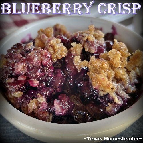 Easiest Blueberry crisp made with frozen blueberries and a buttery oat topping. #TexasHomesteader