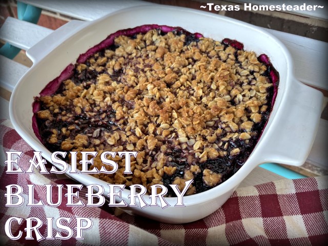 This simple blueberry crisp or crumble is made even easier by using frozen blueberries. #TexasHomesteader
