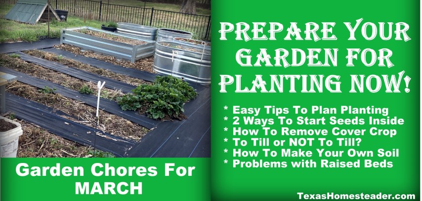 March garden chore list - prepare NOW for Spring Planting! #TexasHomesteader