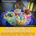 Mini birds nest rice krispie Easter Candy treat #TexasHomesteader