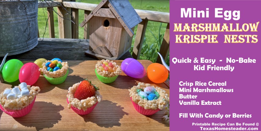 No-Bake Easter Treats - Crisp rice cereal and marshmallow nest filled with candy eggs or berries. #TexasHomesteader