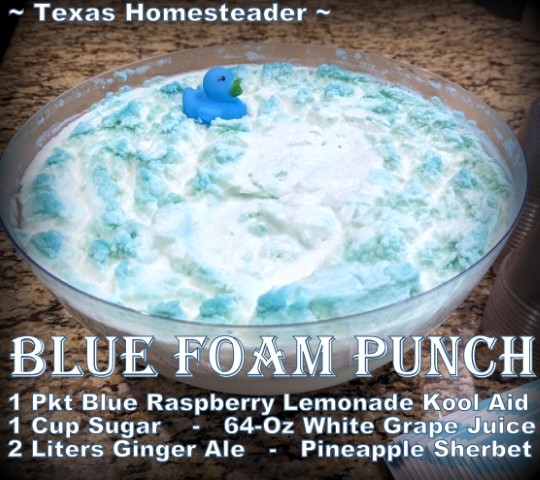 Baby shower - Blue foam punch Blue Raspberry drink mix, sugar, ginger ale, pineapple sherbet, white grape juice. #TexasHomesteader