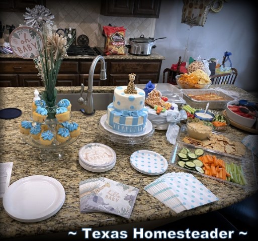 Baby shower - buffet food, cake, cupcakes, vegetable tray, fruit tray, hummus, sliders, etc. #TexasHomesteader